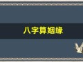 八字算姻缘(八字算姻缘的口诀)