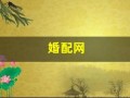 婚配网(婚配网站)
