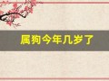 属狗今年几岁了(属狗今年几岁了2024)