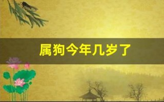 属狗今年几岁了(属狗今年几岁了2024)