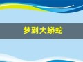 梦到大蟒蛇(梦到大蟒蛇吃人是什么征兆)