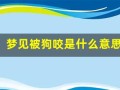 梦见被狗咬是什么意思(男人梦见狗咬自己财运怎么样)