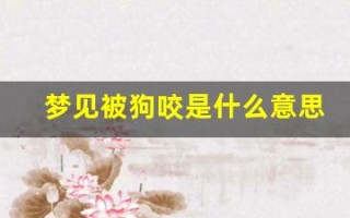 梦见被狗咬是什么意思(男人梦见狗咬自己财运怎么样)