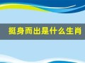 挺身而出是什么生肖(挺身而出的生肖是什么)
