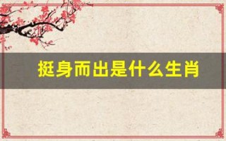 挺身而出是什么生肖(挺身而出的生肖是什么)