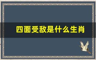 四面受敌是什么生肖(四面受敌形容什么生肖)