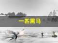一匹黑马(中海达股票未来会是一匹黑马)
