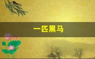 一匹黑马(中海达股票未来会是一匹黑马)