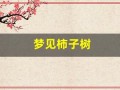 梦见柿子树(梦见柿子树上挂满了红红的柿子)