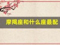 摩羯座和什么座最配(摩羯座和什么座最配对)