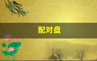 配对盘(配对盘和比较盘的区别)