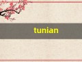 tunian(兔年是202几年)