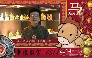 生肖运程2013(生肖运程2025)