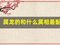 属龙的和什么属相最配(做生意属龙的和什么属相最配)