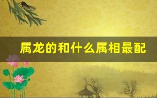 属龙的和什么属相最配(属龙的和什么属相最配)