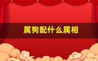属狗配什么属相(属狗配什么属相合适婚姻呢)