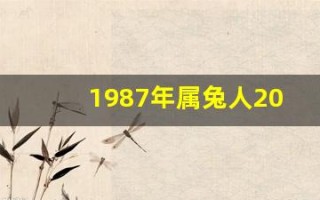1987年属兔人2023年全年运势(1987年属兔2025年的运势及运程)
