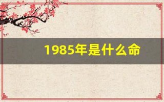 1985年是什么命(1985年属牛是什么命五行属性)