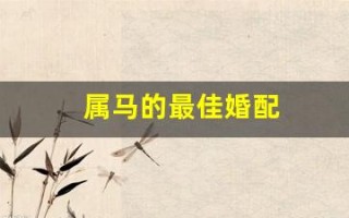 属马的最佳婚配(属马女的最佳婚配)