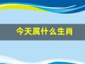 今天属什么生肖(明天属什么生肖)