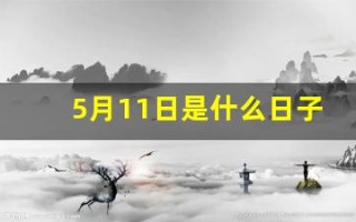 5月11日是什么日子(5月11日是什么日子需要鸣笛)