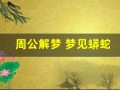 周公解梦 梦见蟒蛇(周公解梦 梦见蟒蛇脱皮)
