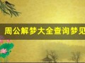 周公解梦大全查询梦见 预示(周公解梦大全查询梦见血)