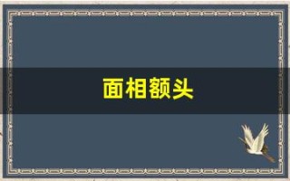 面相额头(面相额头代表什么)