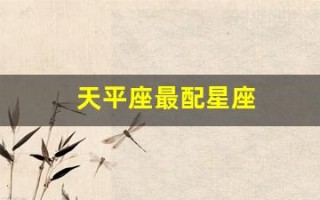 天平座最配星座(天平座最匹配星座)