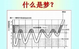 解梦 掉牙(解梦 掉牙 很大 不痛 没出血)