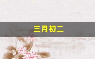 三月初二(1999年三月初二)