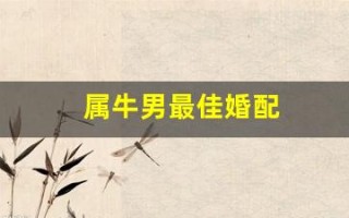 属牛男最佳婚配(属牛男最佳婚配属相排名表)