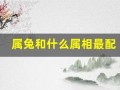 属兔和什么属相最配(属兔和什么属相最配婚姻最合适)