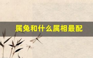 属兔和什么属相最配(属兔和什么属相最配婚姻最合适)
