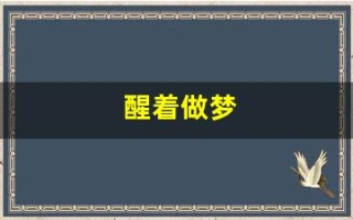 醒着做梦(意识清醒但是又在做梦)