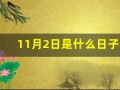 11月2日是什么日子(11月2日是什么日子是什么生肖日)