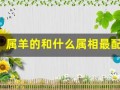 属羊的和什么属相最配、相克(属羊的和什么属相最配)