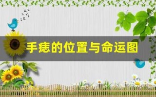 手痣的位置与命运图(面相痣的位置与命运图解)
