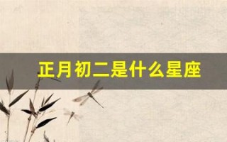 正月初二是什么星座(1982年正月初二是什么星座)