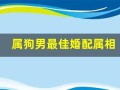 属狗男最佳婚配属相(属狗男和属蛇女的婚姻如何)