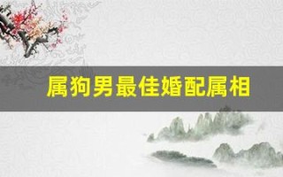 属狗男最佳婚配属相(属狗男和属蛇女的婚姻如何)
