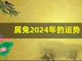 属兔2024年的运势及运程(属兔2024年的运势及运程1999)