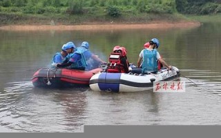 抓鱼(抓鱼机器多少钱一台)