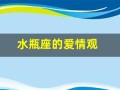水瓶座的爱情观