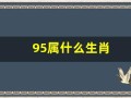 95属什么生肖(97属什么生肖)