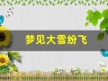 梦见大雪纷飞(离婚女人梦见大雪纷飞)