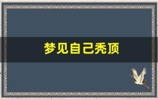 梦见自己秃顶(梦见自己秃顶了是预兆什么)