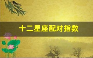 十二星座配对指数