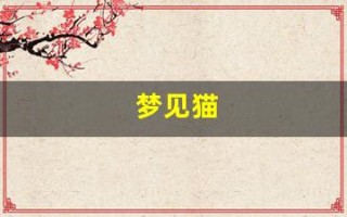 梦见猫(梦见猫是好事还是坏事)