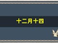 十二月十四(十二月十四日是什么日子)